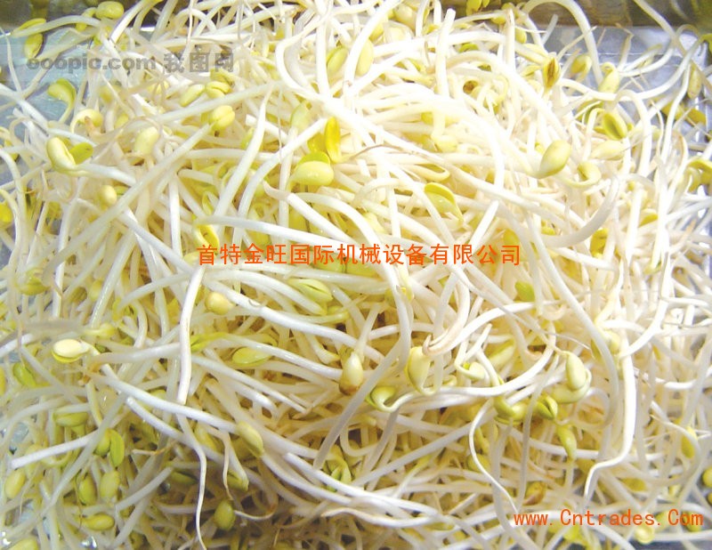 太阳集团tyc|具荷拉拒绝警方的出席调查要求 所属社目前联系不到本人(图3) 太阳成集团tyc