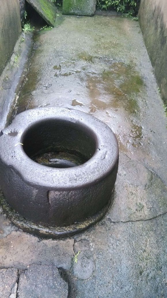 太阳集团tyc-苏宁3球员入围U22国足名单 重用小将终于开花结果(图2) 太阳成集团tyc