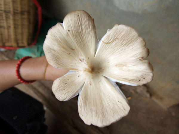 太阳集团tyc-苏宁3球员入围U22国足名单 重用小将终于开花结果(图4) 太阳成官网