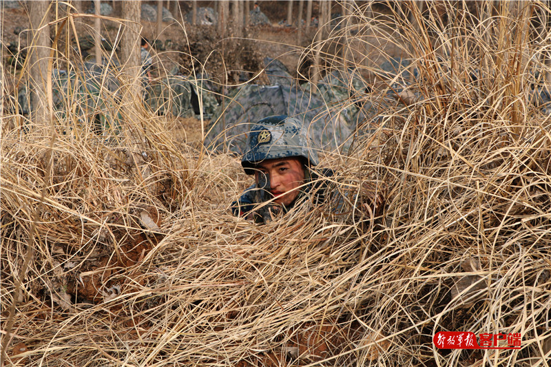 太阳集团tyc|*
中考语文议论文写作专题(四)——围绕看法恰当叙例 (图4) 太阳成官网