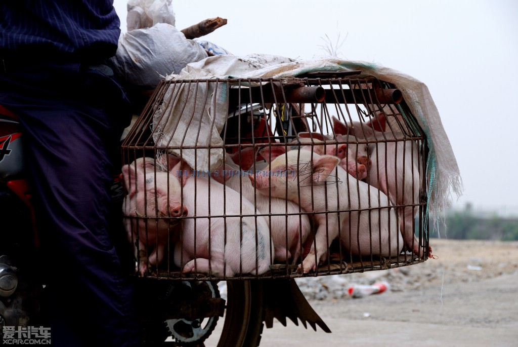 影响世界的五位中国运发动,姚明第3,李宁第2,孙杨林丹无缘“太阳成官网”(图2) 太阳成官网