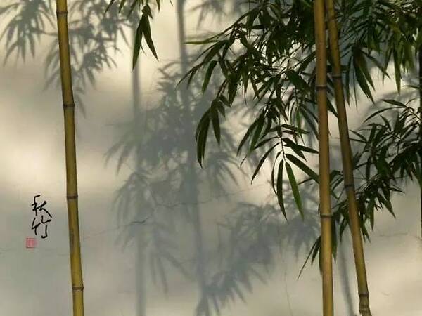 工程治理学院开展“大学生心理康健教育”系列运动之女生康健讲座-太阳成官网(图1) 太阳集团tyc