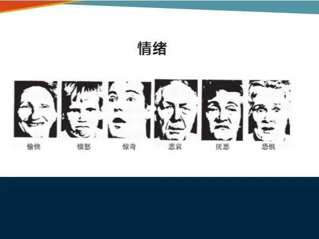 工程治理学院开展“大学生心理康健教育”系列运动之女生康健讲座-太阳成官网(图4)
工程治理学院开展“大学生心理康健教育”系列运动之女生康健讲座-太阳成官网(图4)