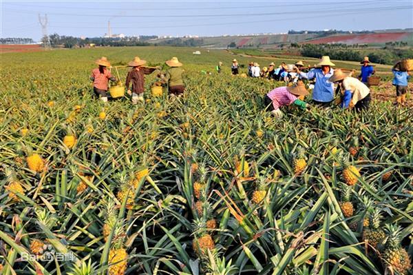*
中考语文议论文写作专题(四)——围绕看法恰当叙例 :太阳集团tyc(图5) 太阳成集团tyc