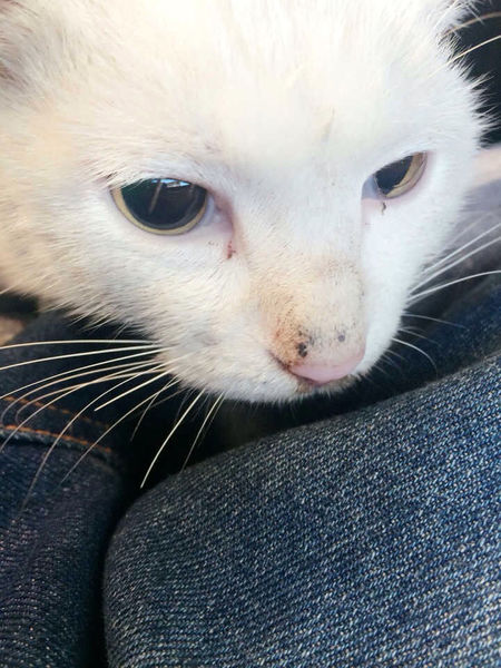 建筑机电安装工程施工管理概述_太阳成集团tyc(图3) 太阳集团tyc