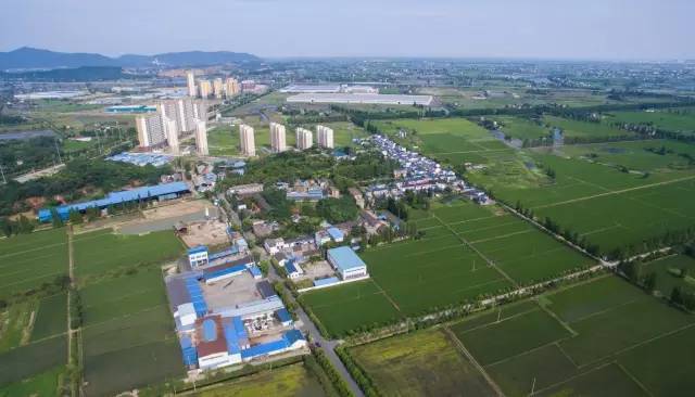 
当涂三地实力上榜 2019中国中部百强镇 有你的家乡吗？|太阳成官网(图7)