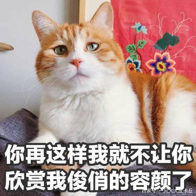 试论我国拾得遗失物制度的完善“太阳成官网”(图2) 太阳集团tyc