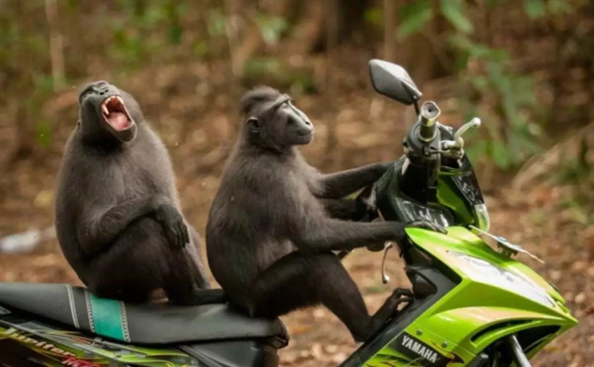 摩根·弗里曼嫌香港太拥挤 唱歌哄朱莉开心‘太阳成集团tyc’(图3) 太阳成官网