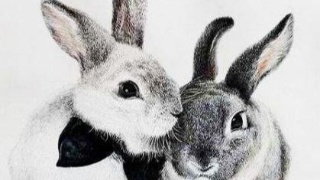 【太阳成官网】史泰龙放弃1.4亿片酬 确定不出演《敢死队4》(图4) 太阳集团tyc