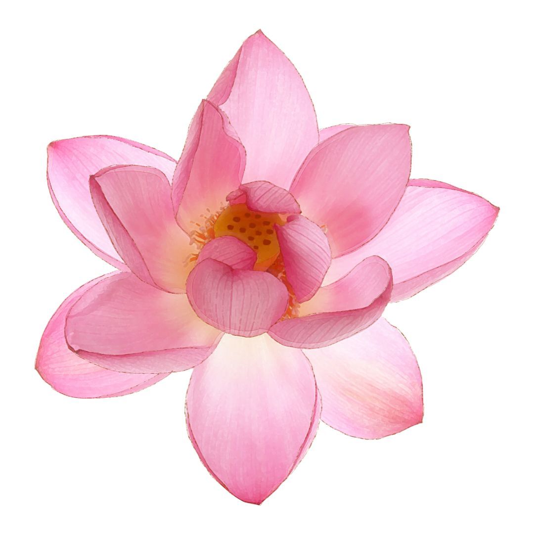 金泫雅-金晓钟被爆恋爱中 网友:三个人的电影Hui却不能有姓名-太阳成集团tyc(图4) 太阳成官网