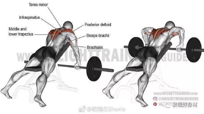 20岁宁夏小伙练就一身肌肉,收获迷妹无数!_太阳成集团tyc(图24)
20岁宁夏小伙练就一身肌肉,收获迷妹无数!_太阳成集团tyc(图24)