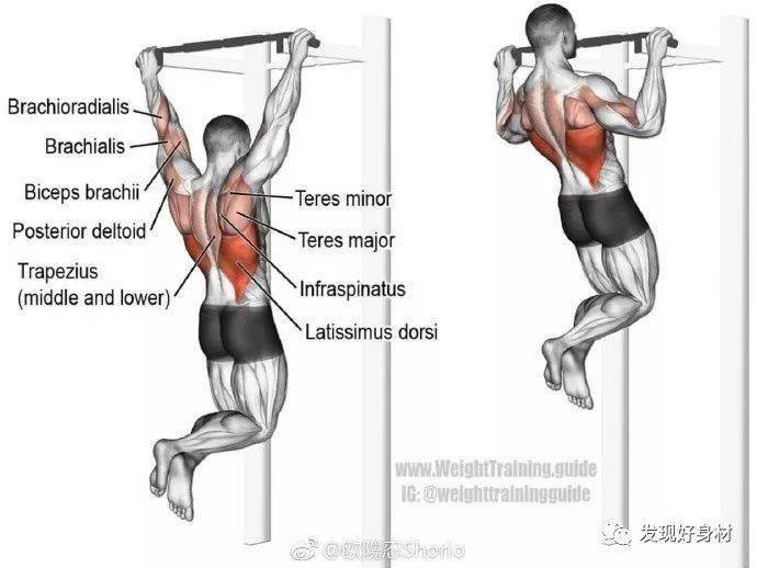 20岁宁夏小伙练就一身肌肉,收获迷妹无数!_太阳成集团tyc(图29)
20岁宁夏小伙练就一身肌肉,收获迷妹无数!_太阳成集团tyc(图29)
