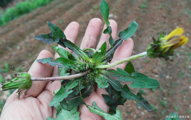 太阳成集团tyc|浅谈中职学校电子商务专业的实训教学(图2) 太阳成官网