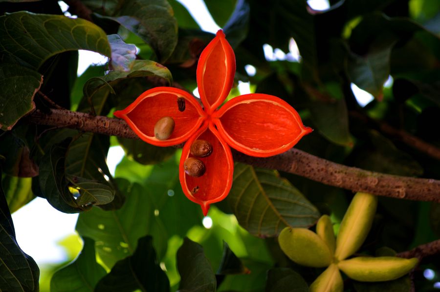 ‘太阳成官网’中国“后高考经济”升温催热多行业(图4) 太阳成集团tyc