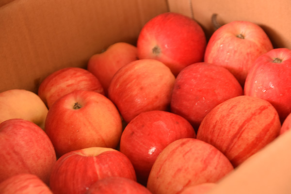 梅伯嘴碎 狄尼洛不屑合演|太阳集团tyc(图2) 太阳成官网