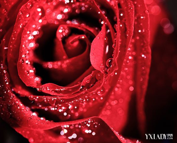 太阳成集团tyc:浅议中俄改革的绩效和可持续性(图3) 太阳成官网